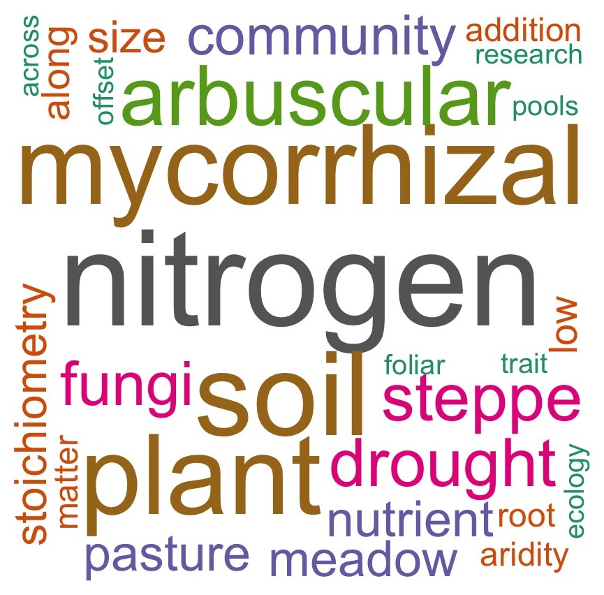 Word cloud of research topics